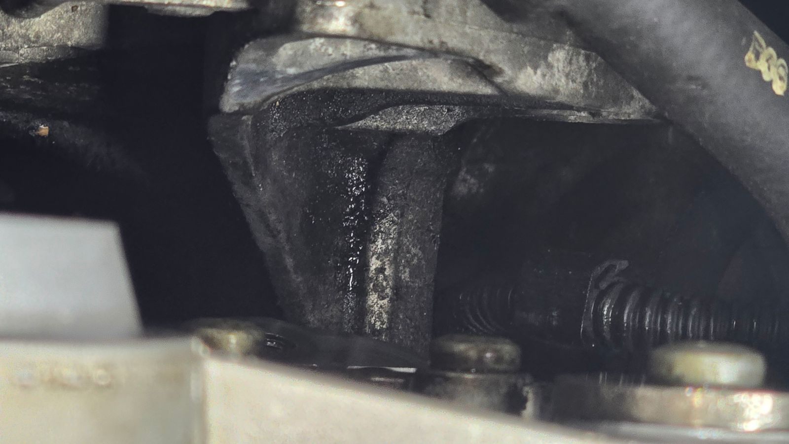 Engine oil leaking onto the engine mount