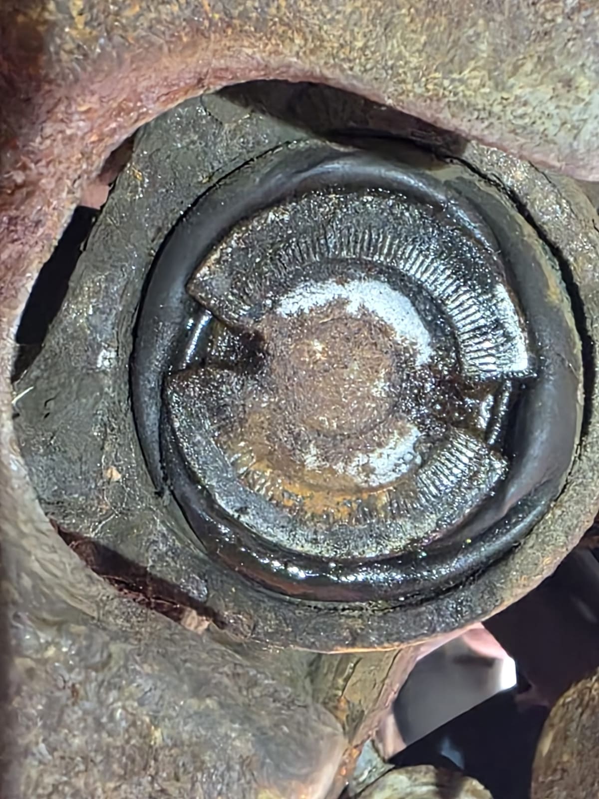 Close-up of a brake caliper piston and its torn dust boot, wet with leaking brake fluid